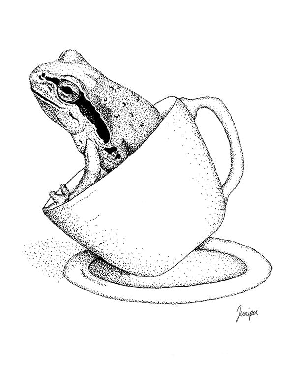 "Frog Folly" Print