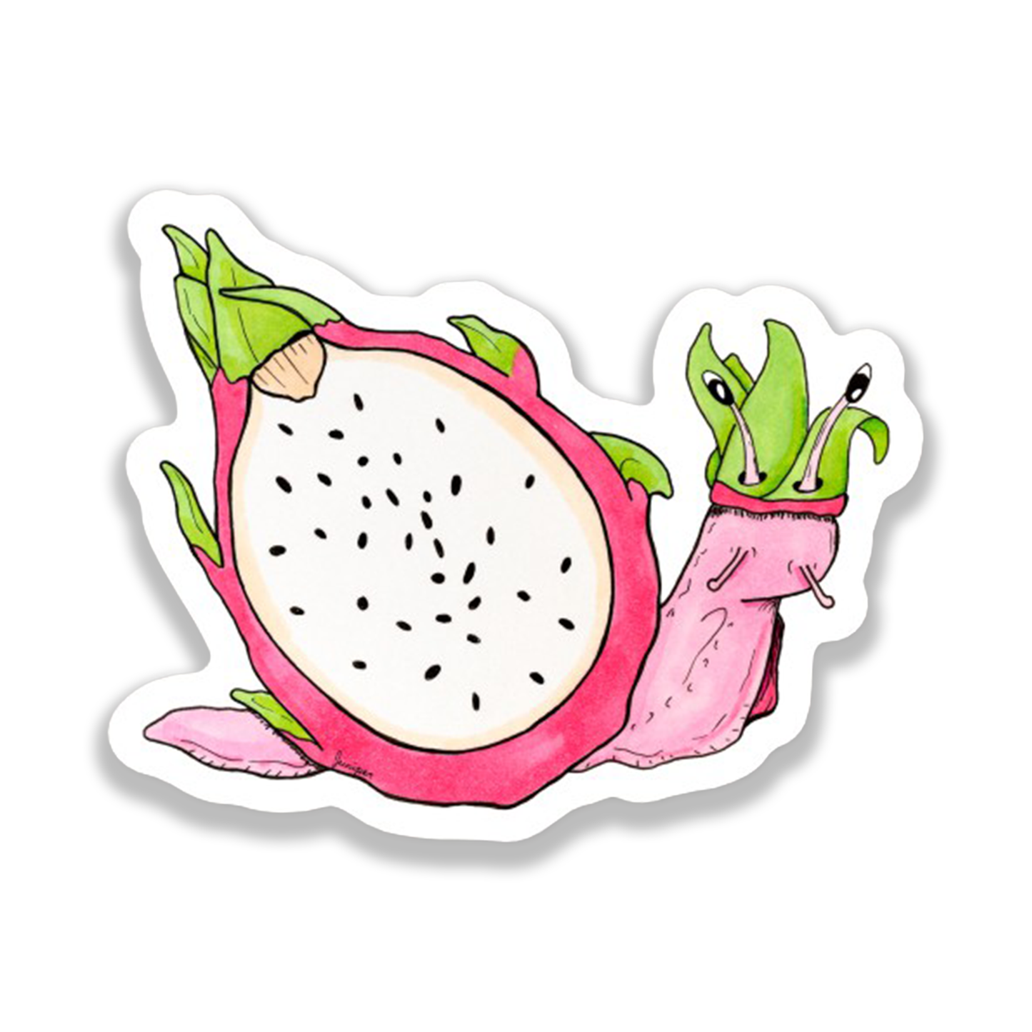 Dragonfruit Snail Sticker